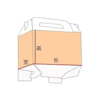 Carrying Case