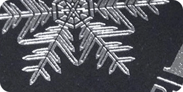Silver Foil Stamping